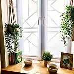 Park Apartment Lublin